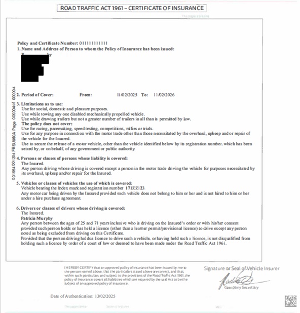 Sample motor insurance certificate type 1