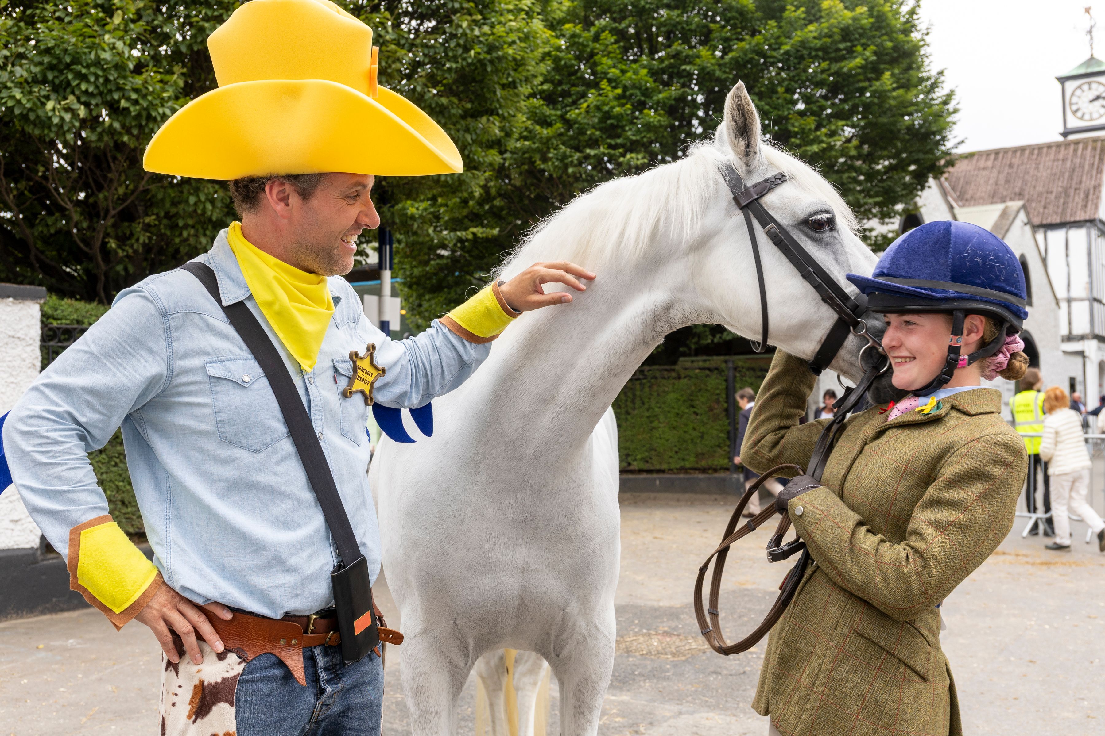 RDS Horse Show (2)